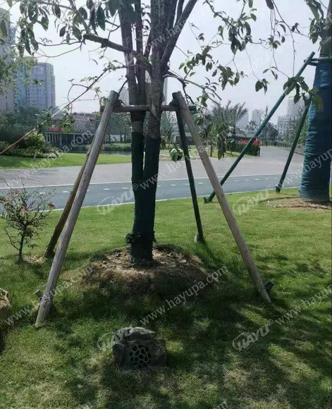 3_resize.jpg 3_resize.jpg